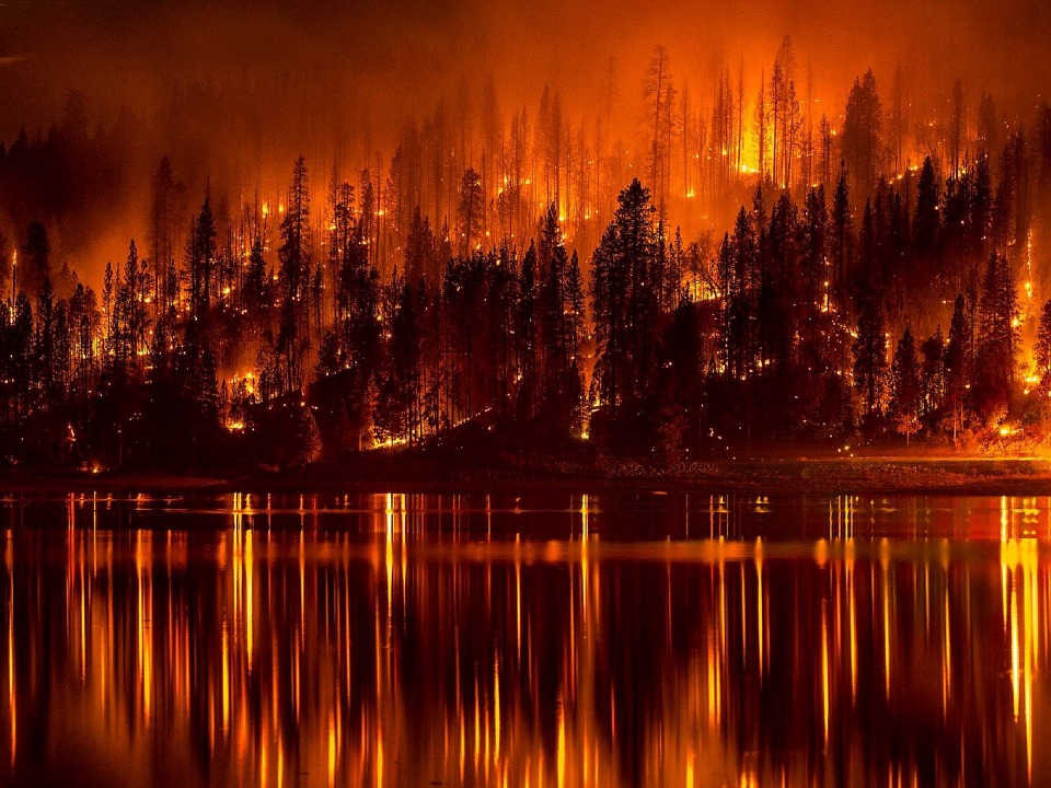 Featured image for “Wildfires in the Southeast”