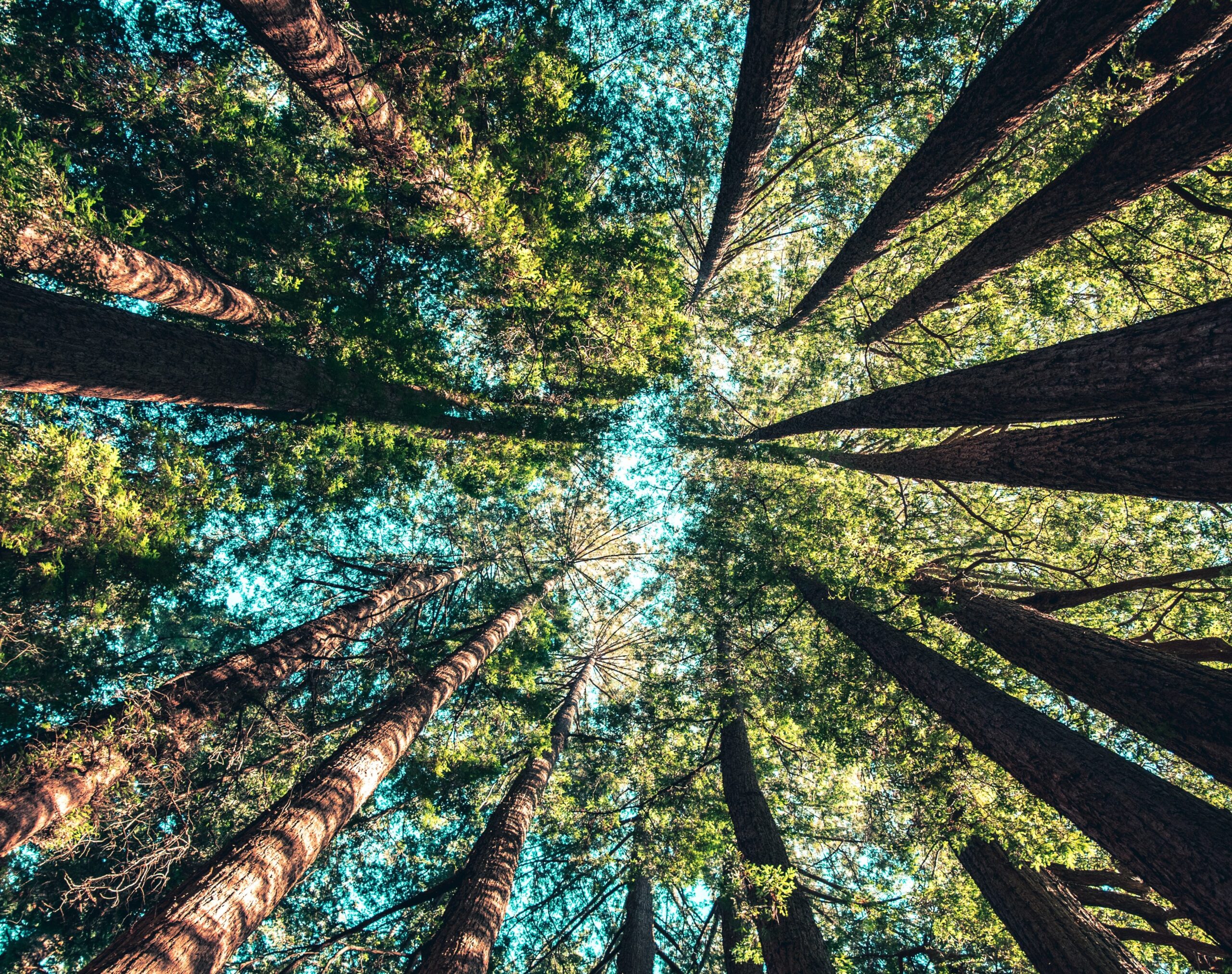 Featured image for “The ballot measure that is important to me”