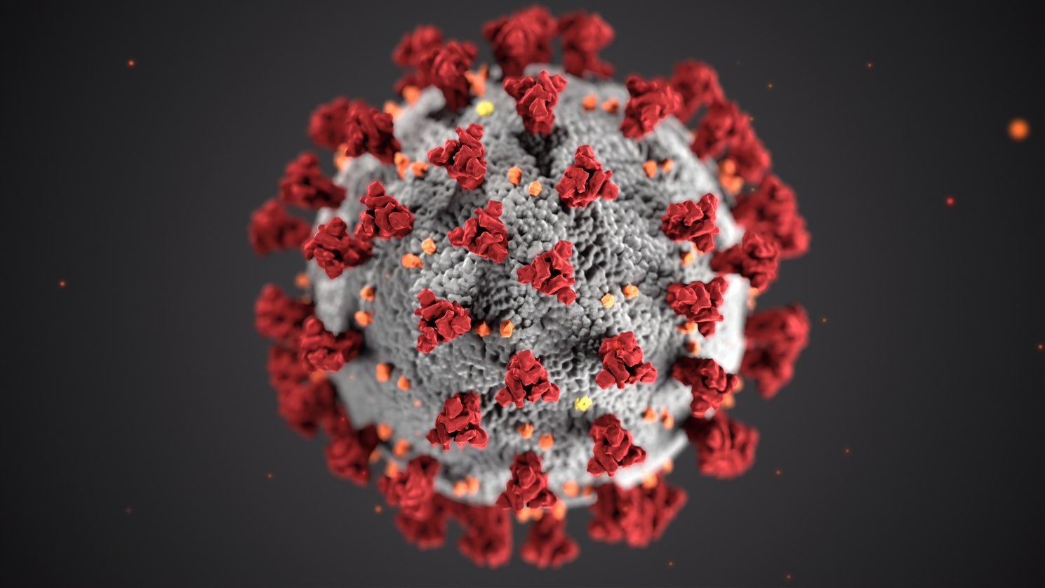 Featured image for “Nonprofits serving our region in the wake of coronavirus”