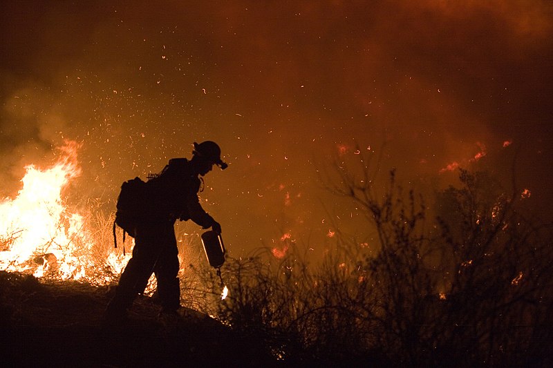 Featured image for “Philanthropic response to California and Oregon wildfires”