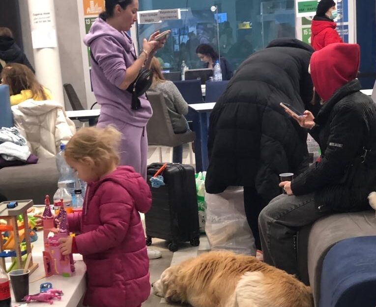 Featured image for “Give to support Ukrainians”