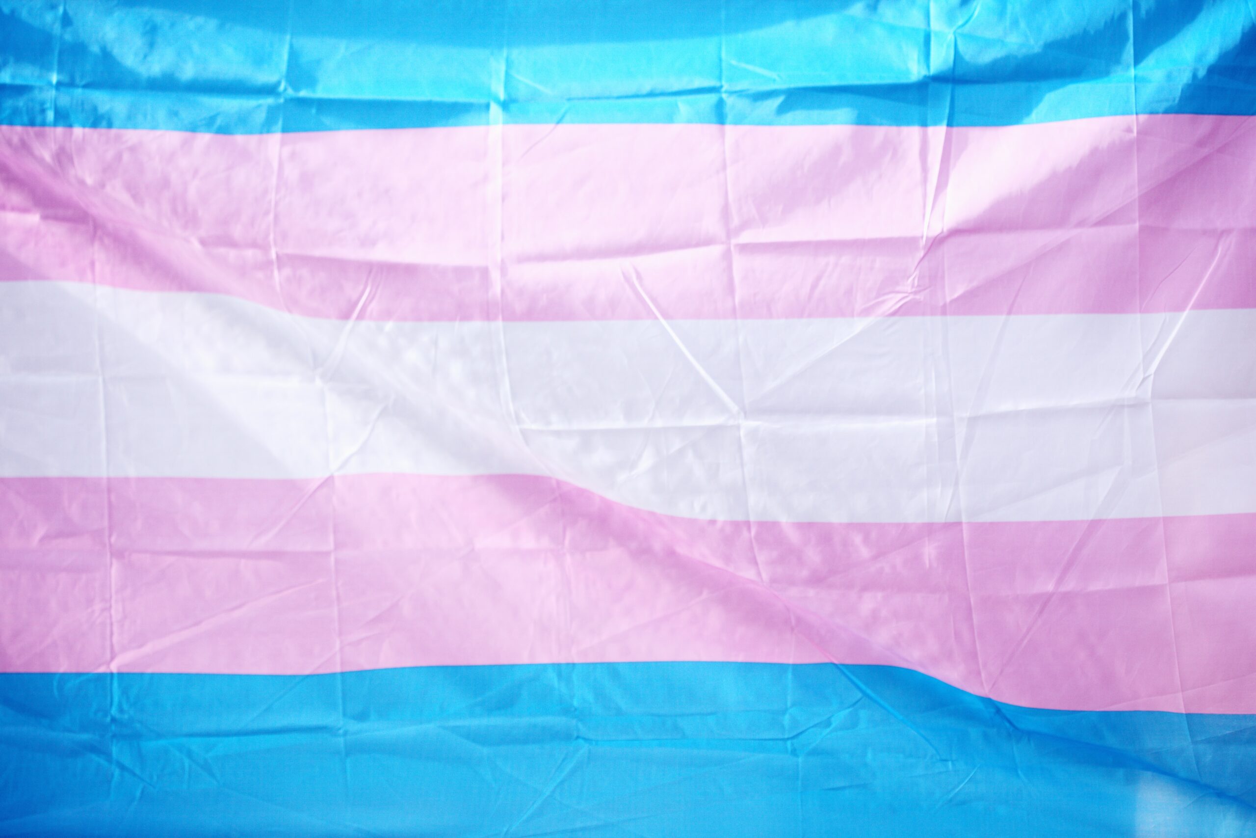 Featured image for “Transgender Day of Visibility”